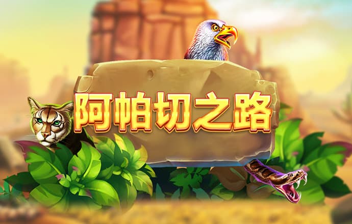 彩皇网APP